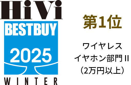HiVi BESTBUY 2025 Winter